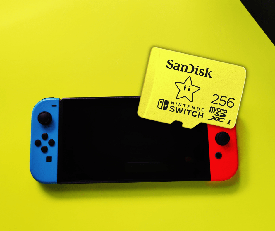 Nintendo Switch Speicherkarte