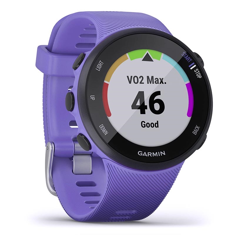 forerunner 45 vo2max