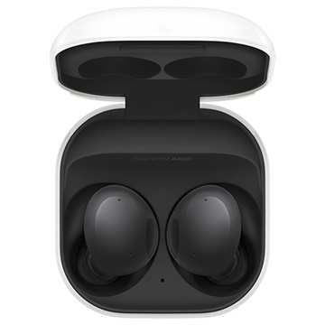 Samsung Galaxy Buds2 SM-R177NZKAEUH - Graphit