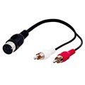 Goobay 5 Pin DIN /2x RCA Kabel Adapter - 0.2m