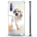 Huawei P20 Pro Hybrid Hülle - Hund