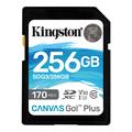 Kingston Canvas Go! Plus microSDXC-Speicherkarte SDG3/256GB