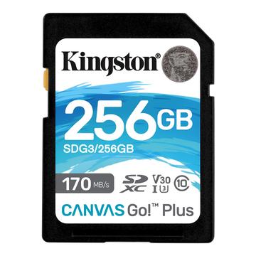 Kingston Canvas Go! Plus microSDXC-Speicherkarte SDG3/256GB