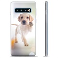 Samsung Galaxy S10+ TPU Hülle - Hund
