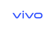 Vivo Hüllen