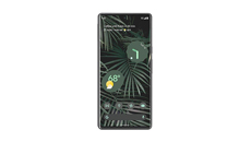 Google Pixel 6 Pro Hüllen und Cases