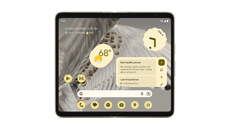 Google Pixel Fold Hüllen und Cases