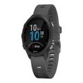 Garmin Forerunner 245 GPS/GLONASS/Galileo Uhr – Grau