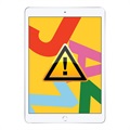 iPad 10.2 (2020) Akku Reparatur