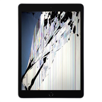 iPad 10.2 (2020) LCD Display Reparatur