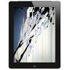 iPad 3 LCD Display Reparatur