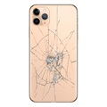 iPhone 11 Pro Max Rückseiten-Cover Reparatur - nur Glas - Gold