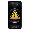 iPhone 11 Ladebuchse Flex-Kabel Reparatur - Schwarz
