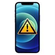 iPhone 12 Kamera Reparatur