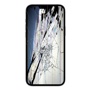 iPhone 13 Pro Max LCD und Touchscreen Reparatur - Schwarz - Grad A