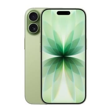 iPhone 17 - 256GB - Salbei
