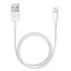 Apple Lightning / USB Kabel ME291ZM/A - Weiß - 0.5m